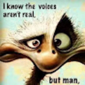 Meet your Posher, Dudley